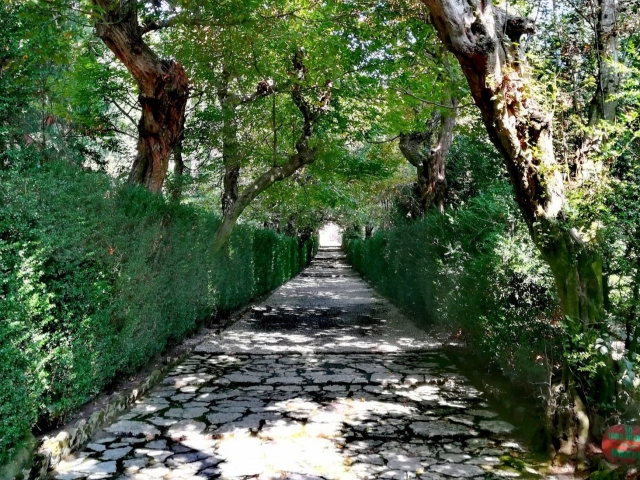  Jardim Histórico 