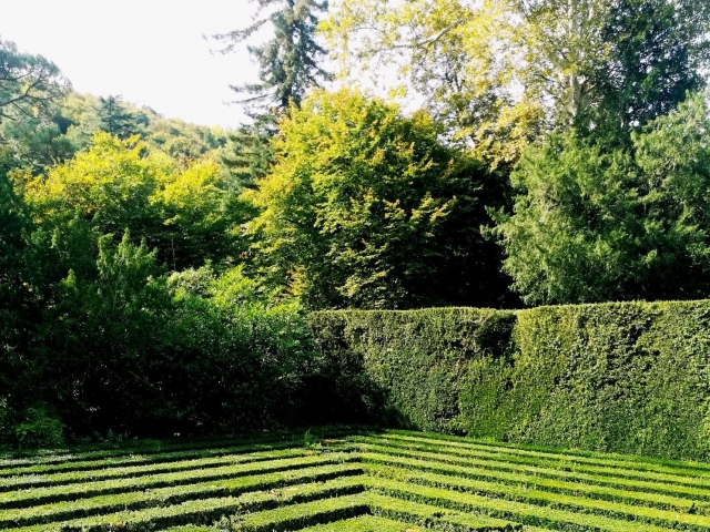  Jardim de Valsanzio 