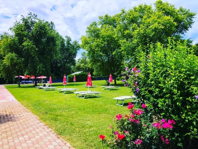 Prati verdi a bordo piscina
