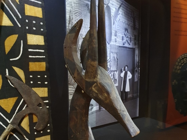  Sculptures on display 