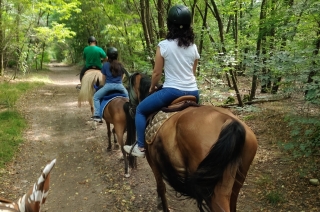 Sunny Ranch Parco del Ticino Asd