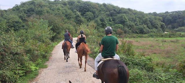  Caminhada na natureza 