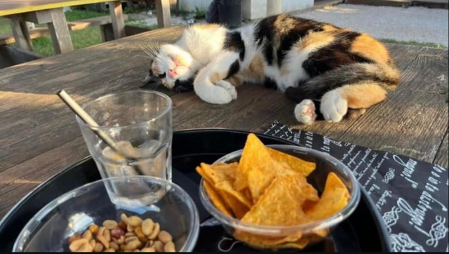  Aperitivo 