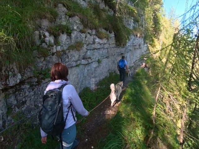 Experience with the husky in the Brenta -999 Dolomites- Know our Husky during an excursion to the Italian Alps 