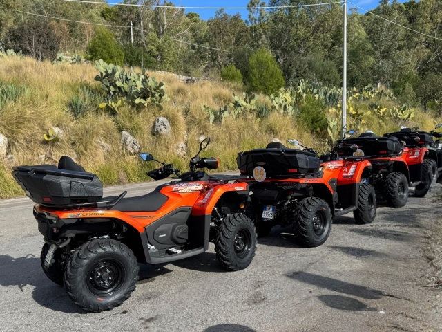  Explore the coast and the mountains of Palermo in quad 