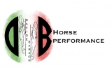 DB Horse Performance