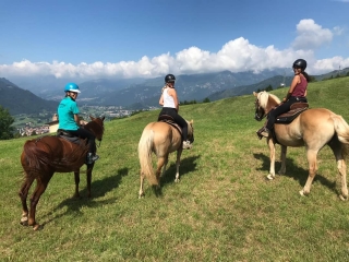 Fattoria della Felicità