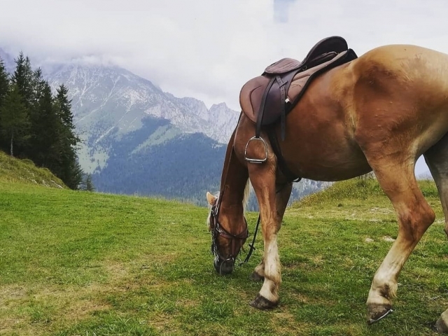 Uno dei nostri esemplari