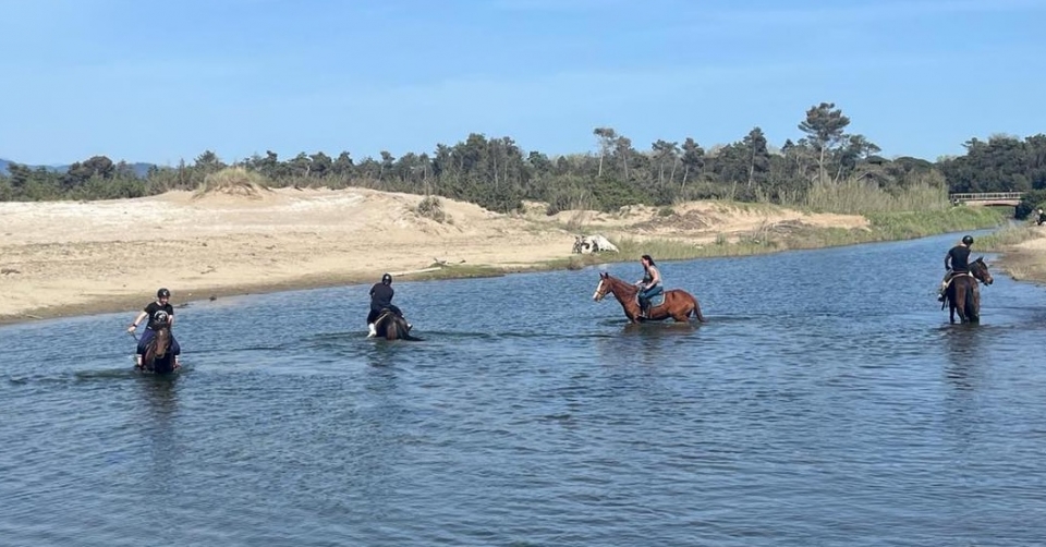 Nel mare della Versilia Nel mare della Versilia