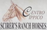 Scirer's Ranch Horses