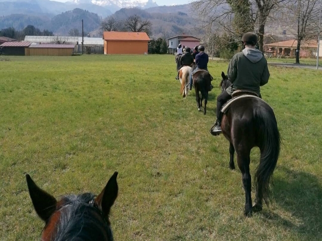 Passeggiata cavallo in Castelnuovo di Garfagnana