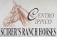 Scirer's Ranch Horses