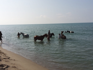 Ranch La Rosa Dei Venti Maneggio