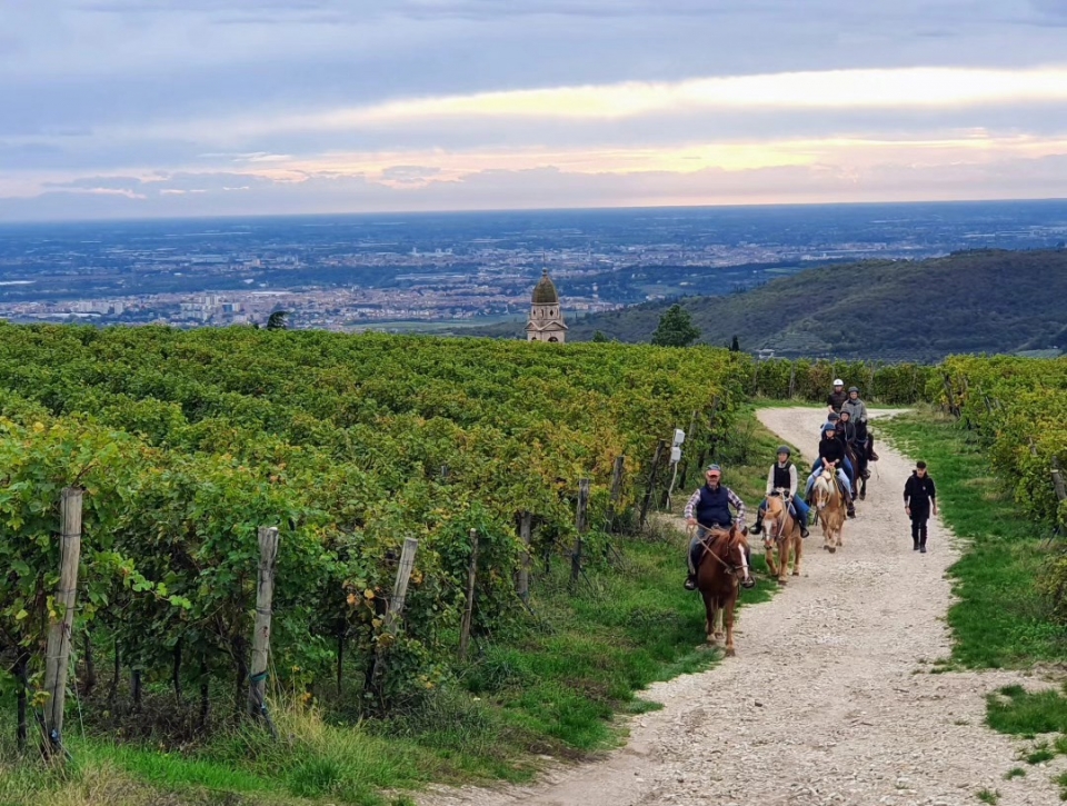  The hills around the riding school 