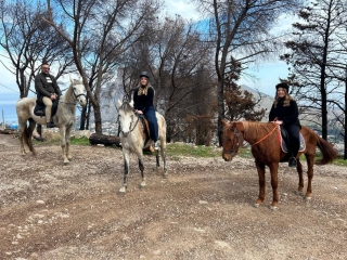 Centro Equestre Pizzo Damante