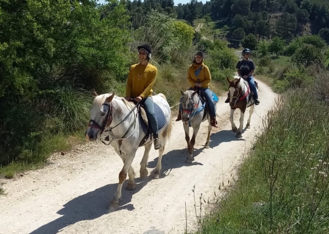 Passeggiata di gruppo 