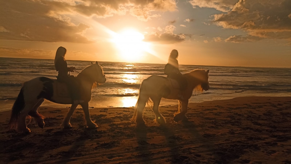 Passeios a cavalo nas praias de Siracusa 