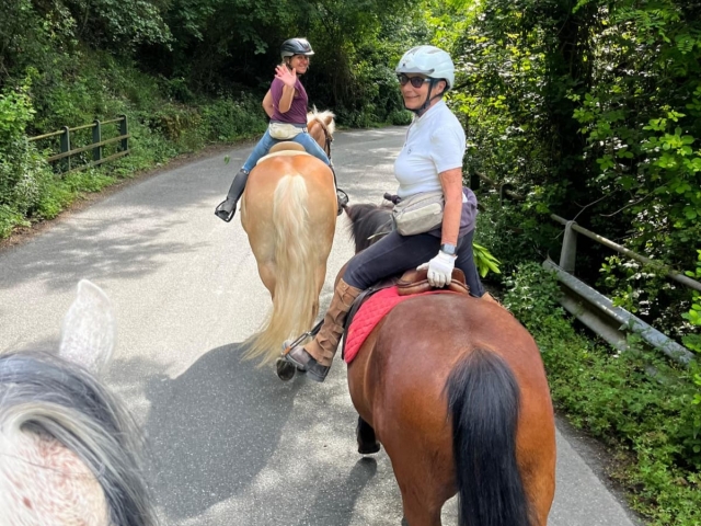  Reiten im grünen Wald 