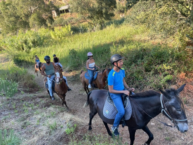  Inmerso en el verdor de Sicilia 