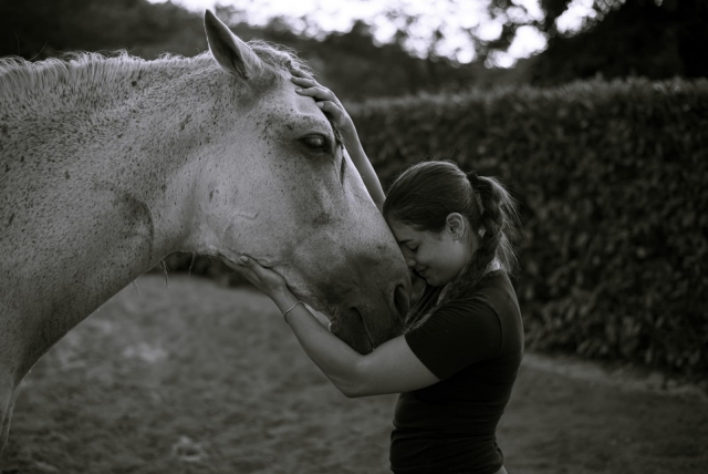 Die Beziehung Pferd-Reiter liegt uns am Herzen 
