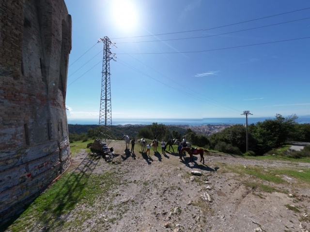  Reitausflug zwischen Sonne und Natur 