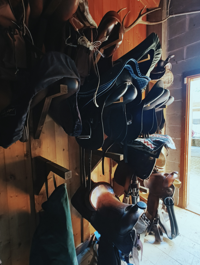Avis de Ludovica concernant Tour panoramique à cheval des collines de Pistoia 2h