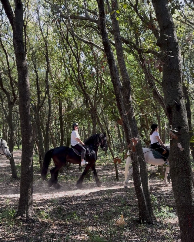 En el bosque 