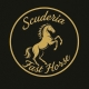 Fast Horse