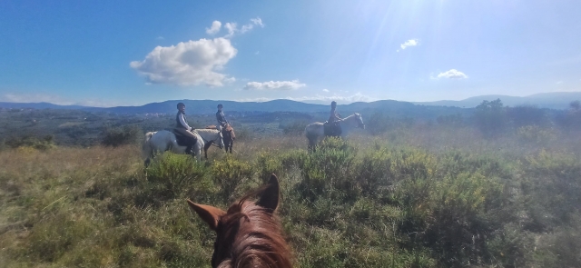  Équitation 