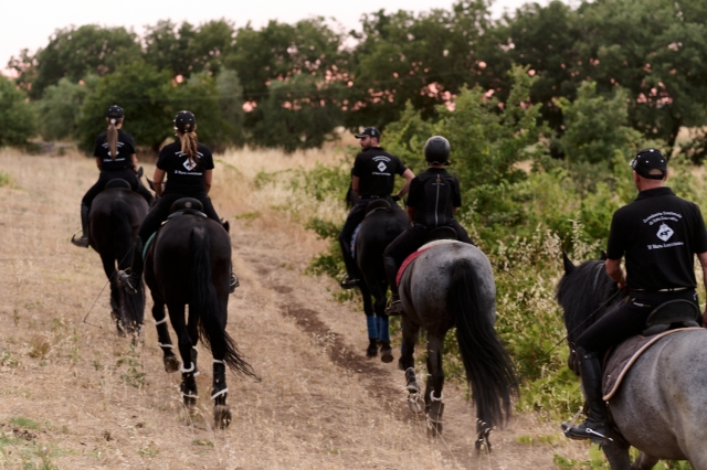 Accademia Nazionale di Arte Equestre Il Nero Luminoso