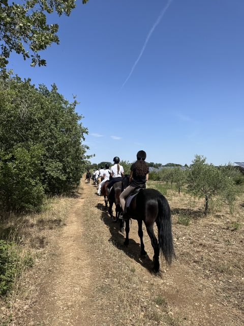 In passeggiata