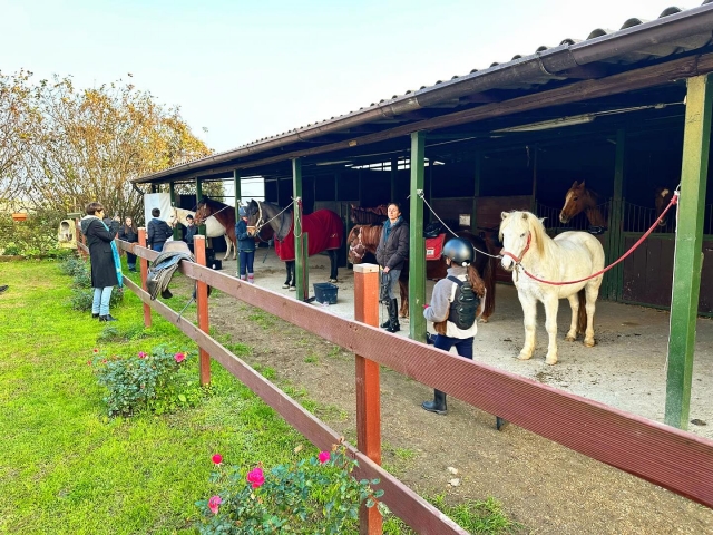 Centro Ippico - Scuderia del Sole 