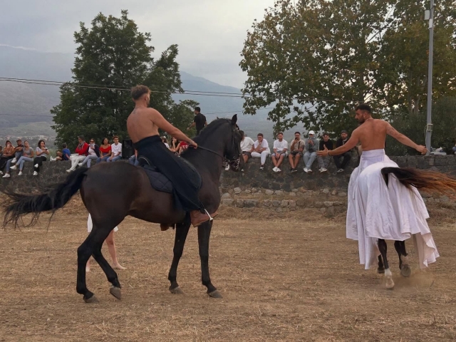 spettacolo a cavallo