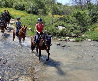 ASD Pierantozzi Horses