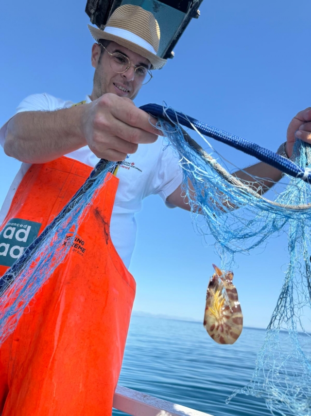  crevettes 