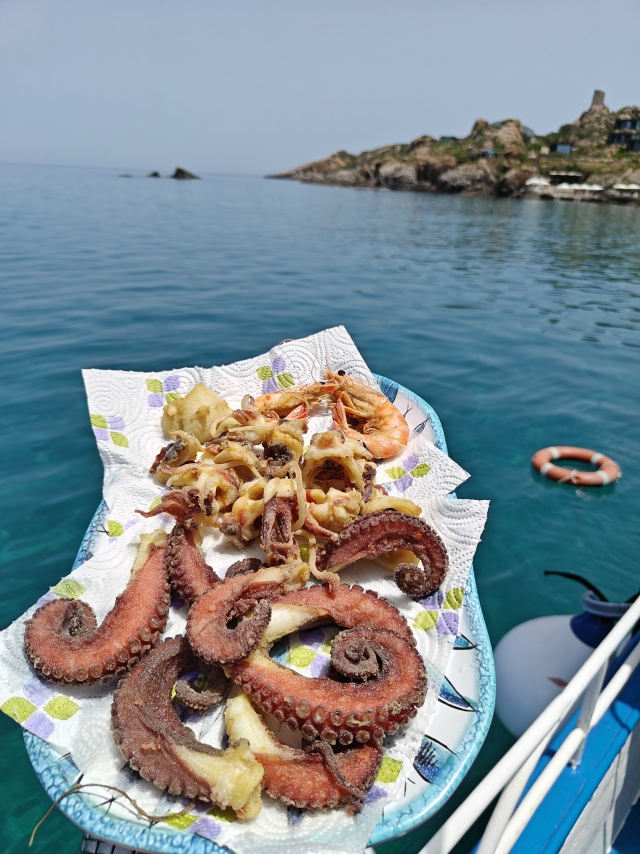  friture 