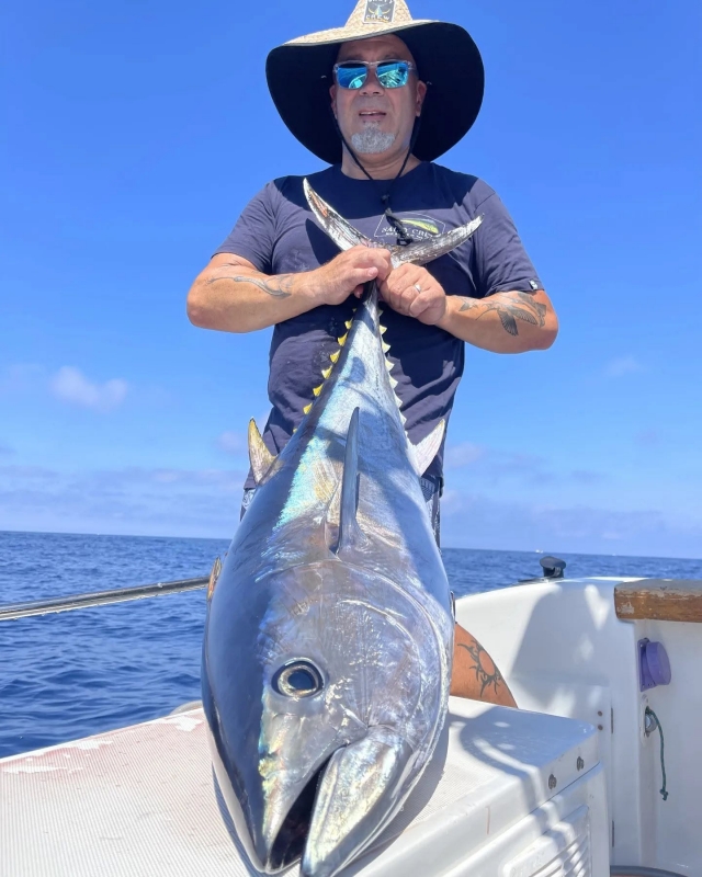 Bluefin tuna 
