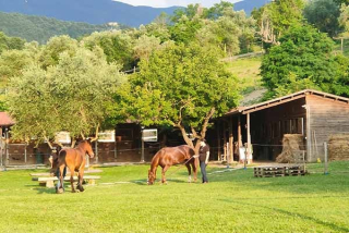 Les écuries et le paddock du Centre Équestre La Speranza à Pelago 