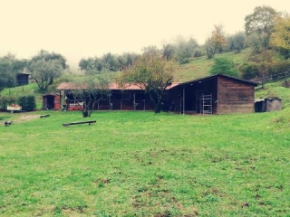  Les écuries dans le pré 