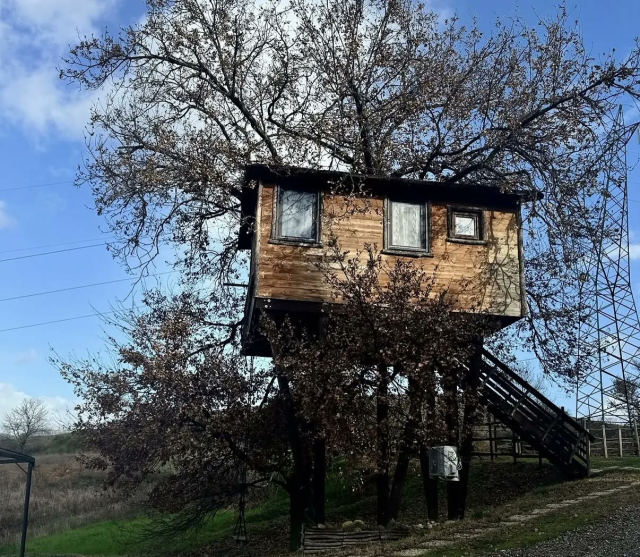La casa sull'albero nella quercia