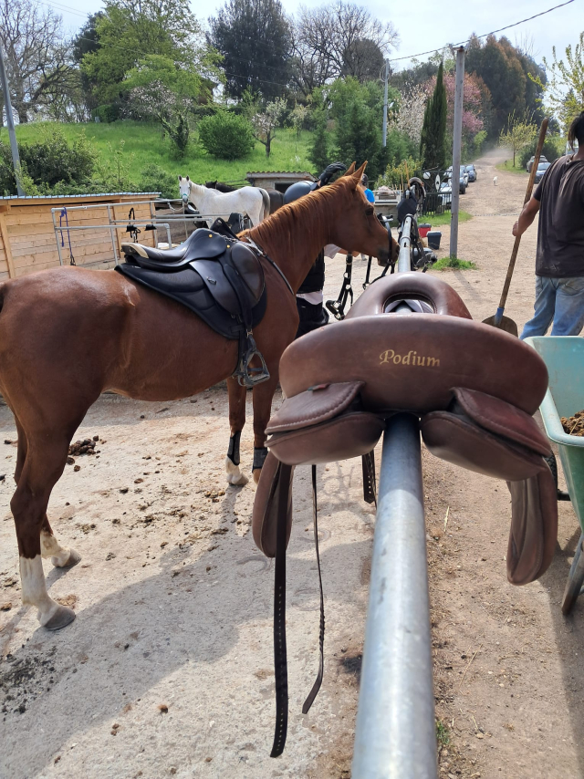 Lezioni di equitazione nel Lazio 