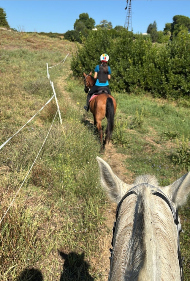 Esperienza equestre a Formello
