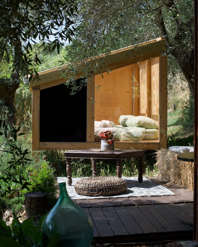 La veranda con il divano tra gli ulivi