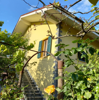 B&B Pervinca