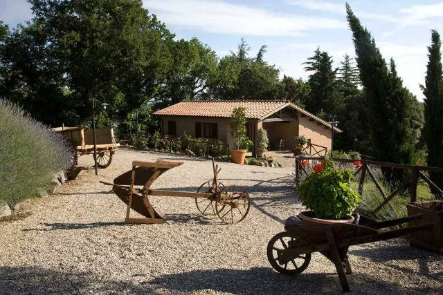 L'aia tra gli ulivi