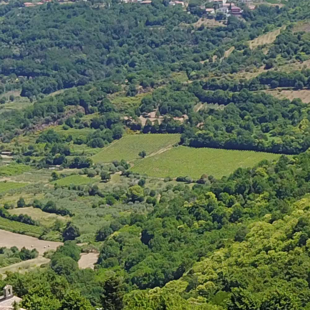 Le colline intorno al poggio