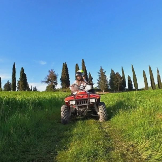  Un quad en el prado con los cipreses 