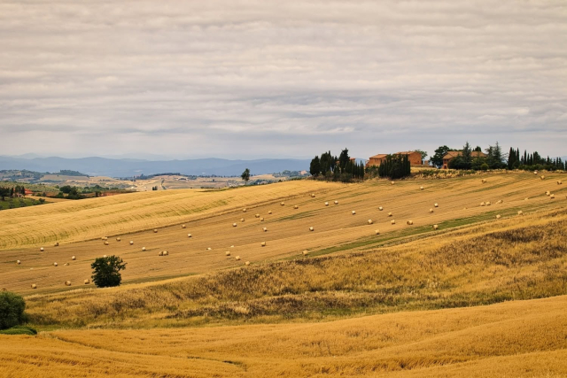  Los campos de trigo de la Val d'Orcia 