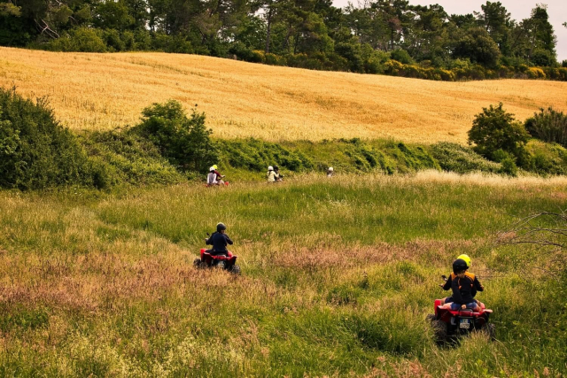  Quad en la hierba alta
