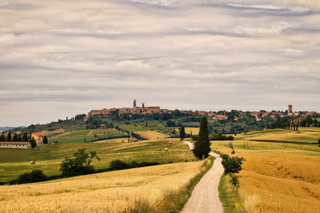  El camino de tierra hacia Pienza 